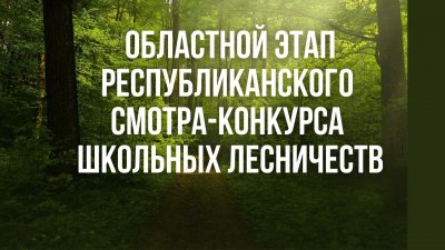 Итоги областного этапа республиканского смотра-конкурса школьных лесничеств