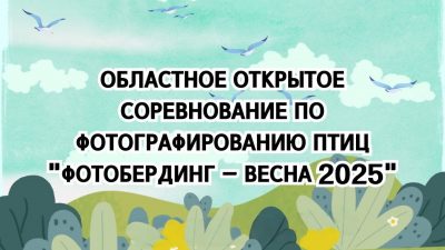 Итоги областного соревнования по фотографированию птиц “Фотобердинг – 2025”