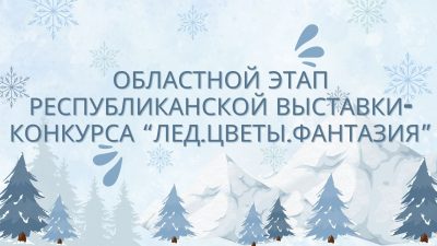 Областной этап республиканской выставки-конкурса “Лед.Цветы.Фантазия”